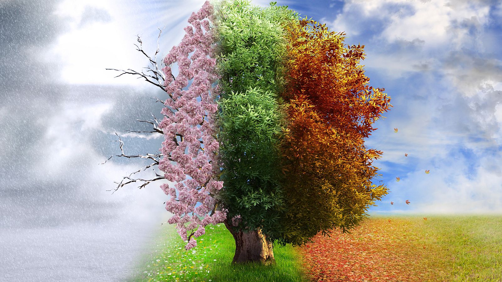 Pangea - Las estaciones de la música: el verano - 04/06/23 - escuchar ahora