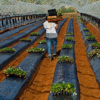 Las mañanas de RNE con Íñigo Alfonso