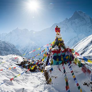 Respuestas de la Ciencia