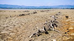 Memoria de Delfín - Desertificación: amenaza global