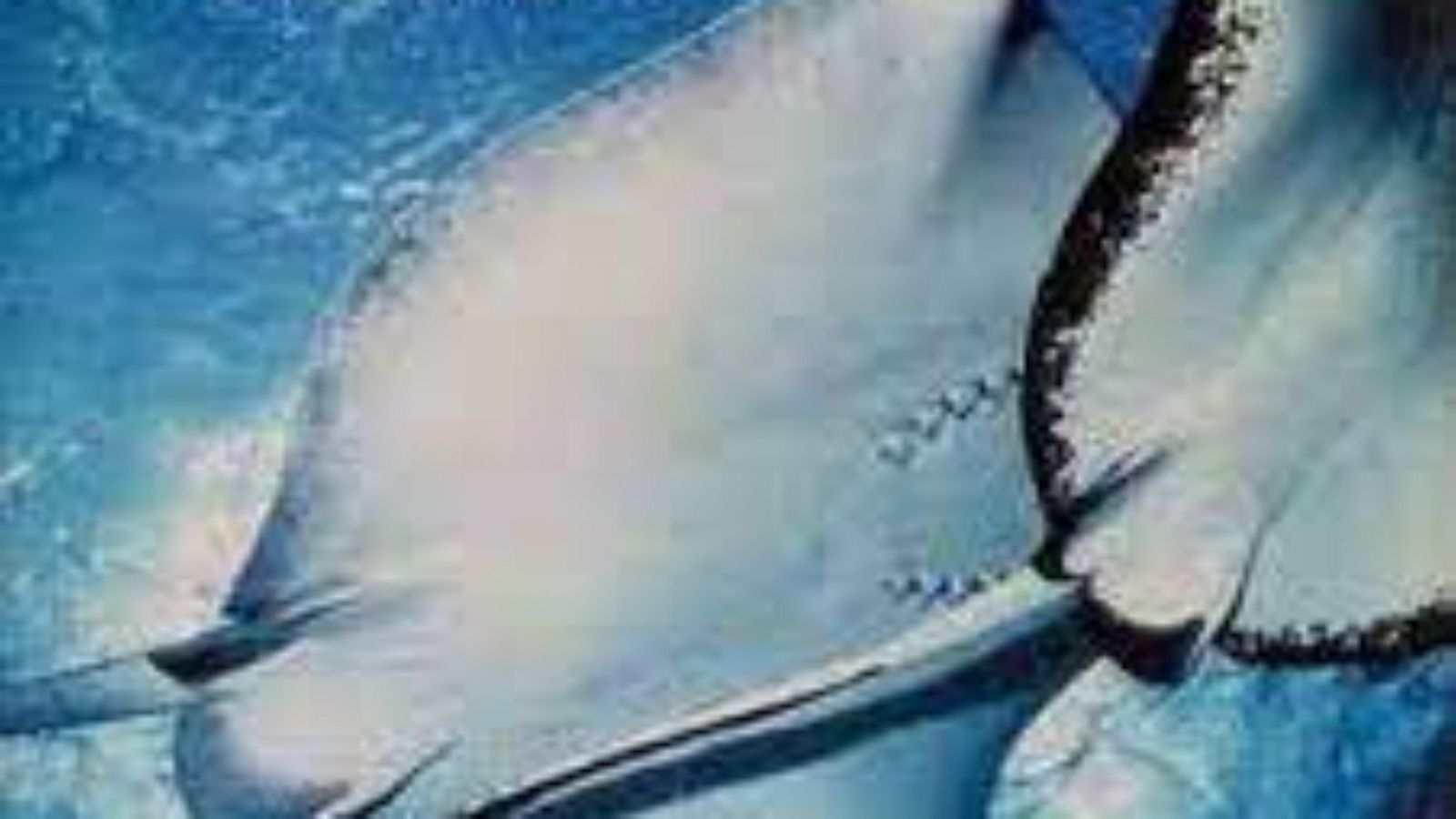 Dando vueltas - Leftfield - 15/07/23 - escuchar ahora