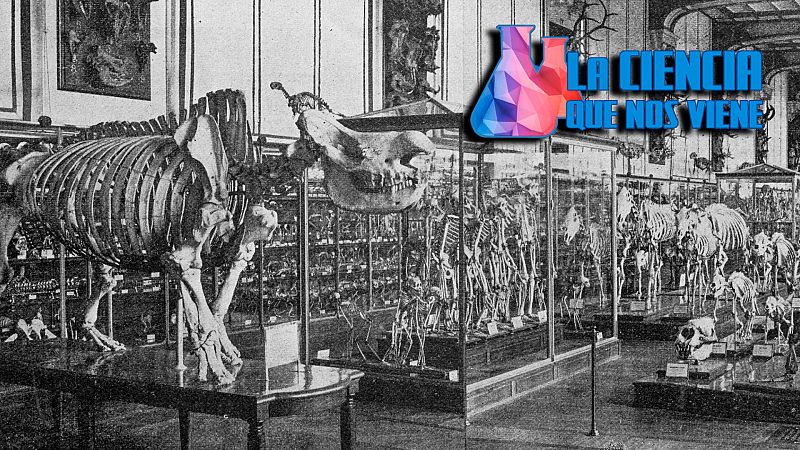 La ciencia que nos viene - Los secretos del Museo de Ciencias Naturales - Escuchar ahora