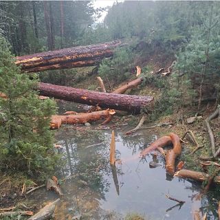 RadioActivas en Radio 5