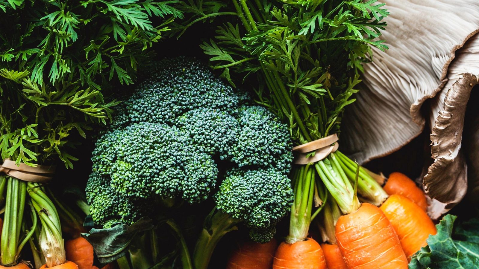 Planeta vivo - Organic Food y Ecoliving Iberia 07/06/23 - Escuchar ahora