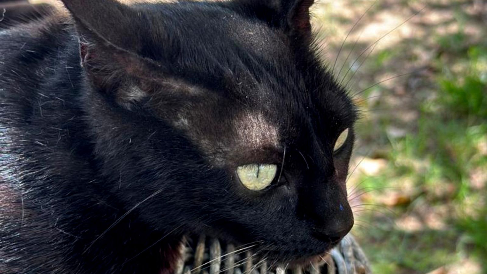 Alguien debería prohibir los domingos por la tarde - Nunca en domingo - 11/06/23 - escuchar ahora