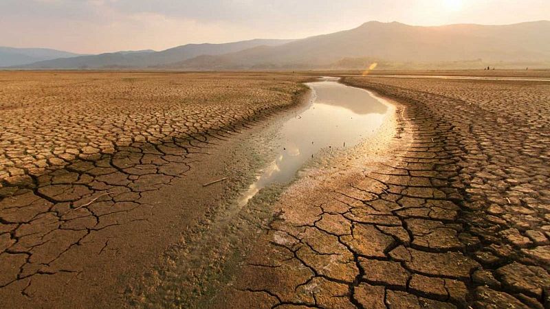 Cinco continentes - ¿Cuál es la relación entre cambio climático y migración? - Escuchar ahora