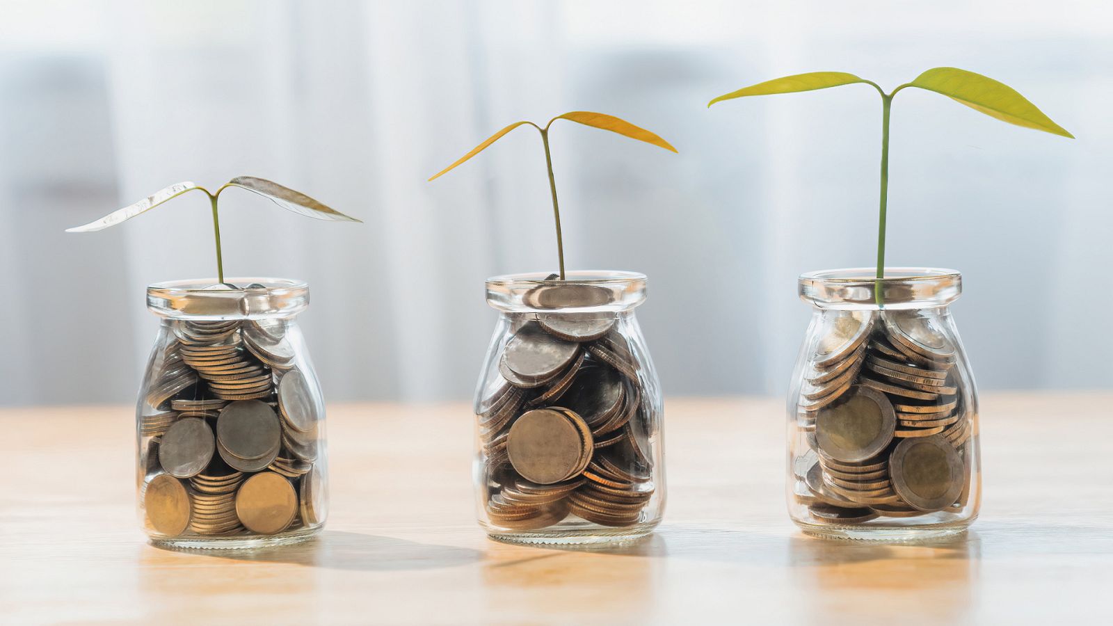 Sumando esfuerzos - Hablamos de la cultura de 'fundraising' - 09/06/23 - escucha ahora