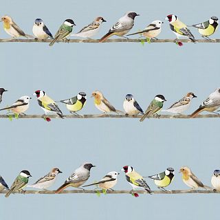 Los pájaros como fuente de inspiración musical