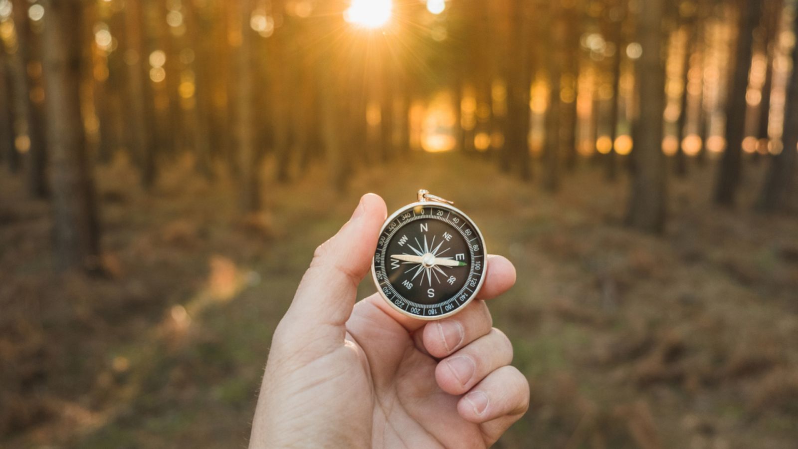 Respuestas de la Ciencia - ¿Qué es la declinación magnética? - 08/06/23 - Escuchar ahora