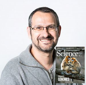 A hombros de gigantes - La mayor colección de genomas de primates para estudiar la evolución humana y sus enfermedades - Escuchar ahora