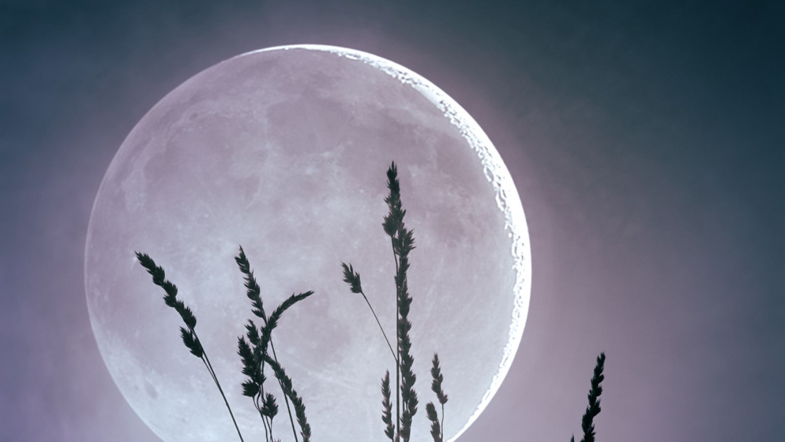 Momentos históricos de Europa - Las lunas de Gabriel Fauré - 09/06/23 - escuchar ahora