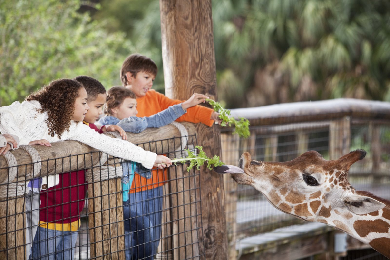 Longitud de onda - La transformación de los zoos - 09/06/23 - escuchar ahora