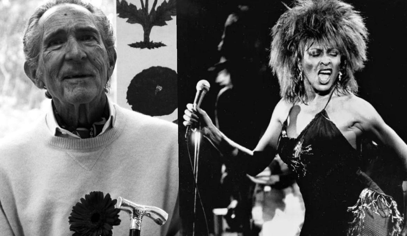 Cariño, sabes que soy de otro planeta - De Antonio Gala a Tina Turner - 10/06/23 - escuchar ahora