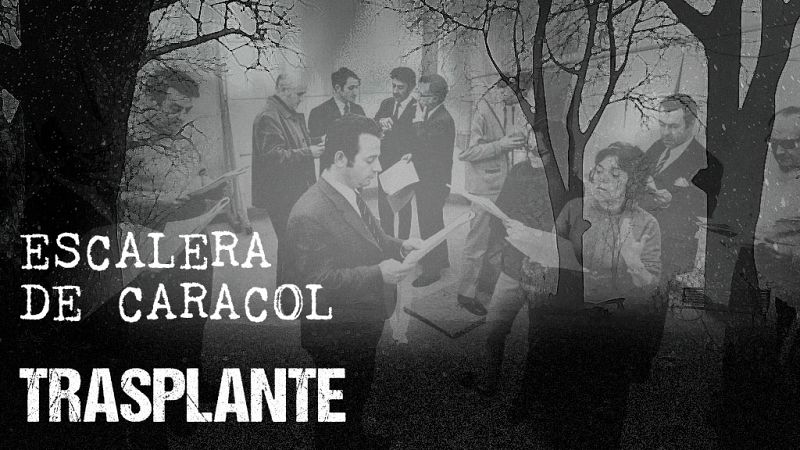 Escalera de caracol - Trasplante