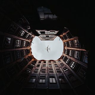 A lo loco y con patines