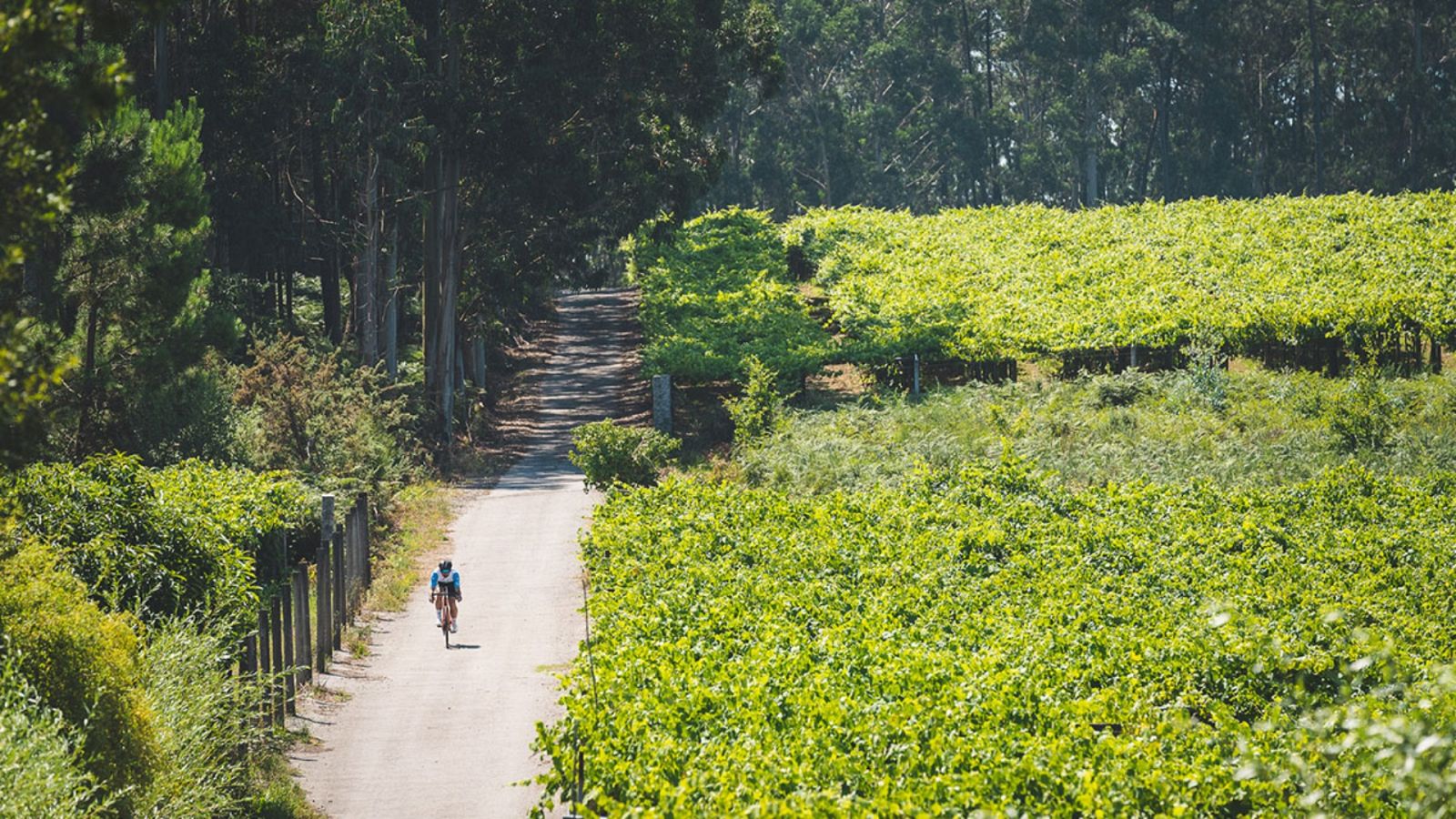 Escapadas - Enoturismo a pedales - 16/06/23 - Escuchar ahora