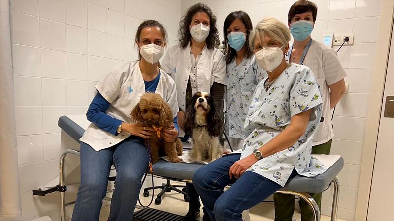Por tres razones - Perros de acompañamiento, un médico más del centro de salud - Escuchar ahora
