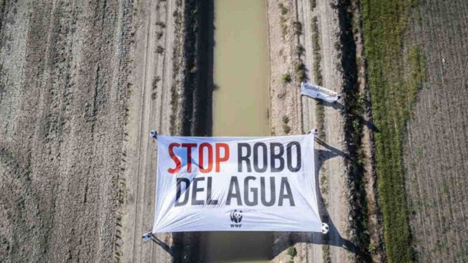 En primera persona - Doñana se extingue: Salvemos Doñana - 18/06/23 - escuchar ahora