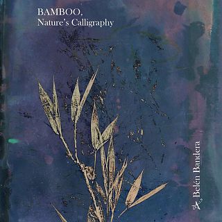 Autòctones, oficines del futur, Belen Bandera 