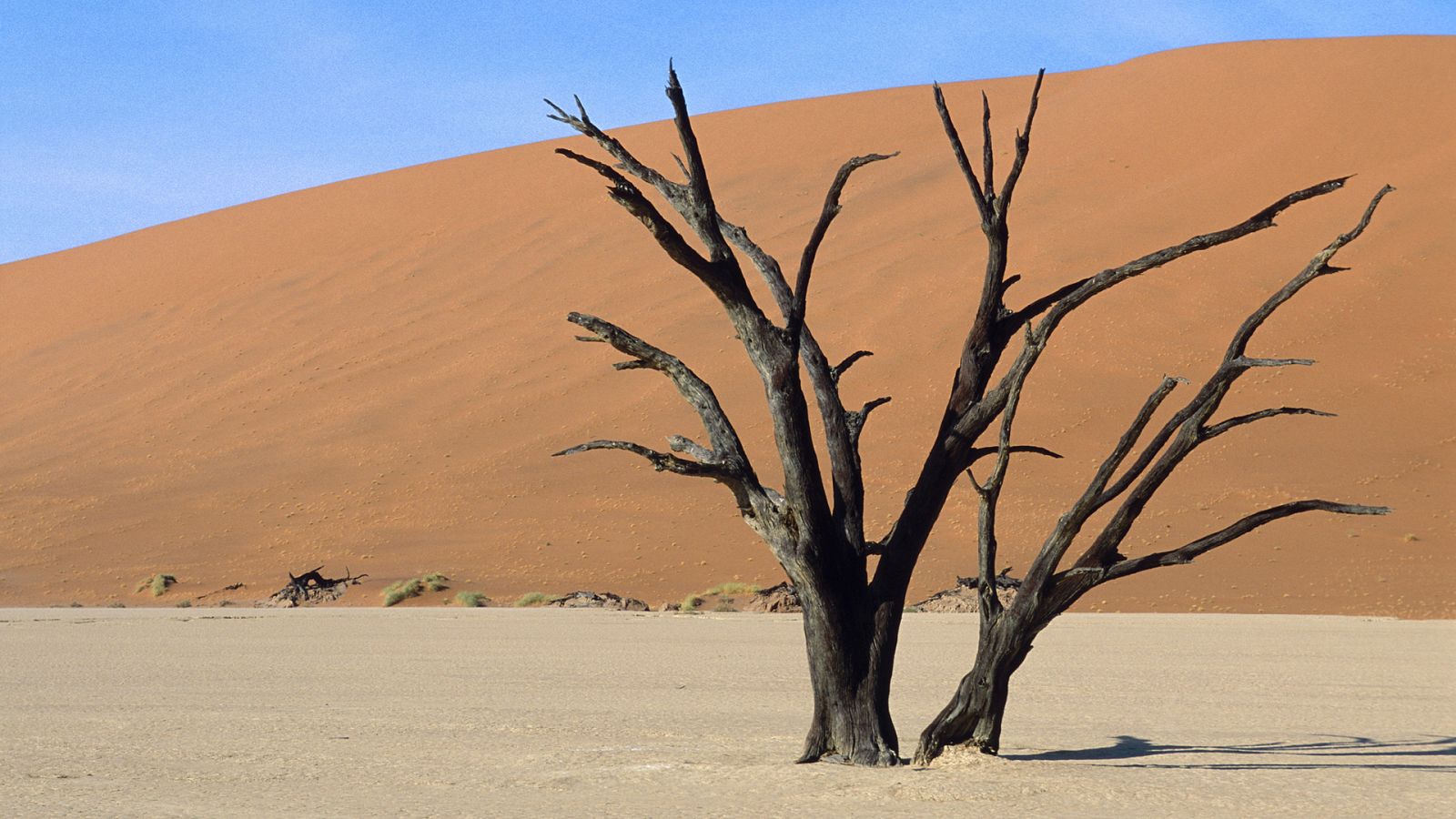 Somos cooperación - Cambio climático en océanos y desiertos - 24/06/23 - escuchar ahora