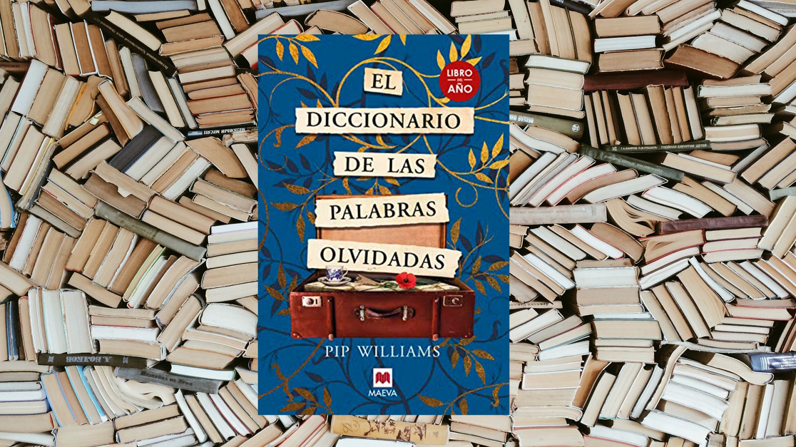 Un idioma sin fronteras - Traducir 'El diccionario de las palabras olvidadas' - 17/06/23 - escuchar ahora