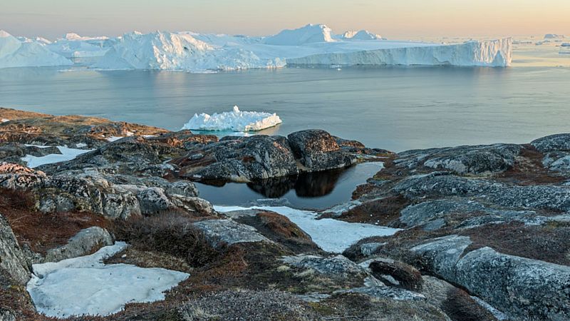 Las mañanas de RNE - La firma I María Blasco: el ecosistema ártico - Escuchar ahora