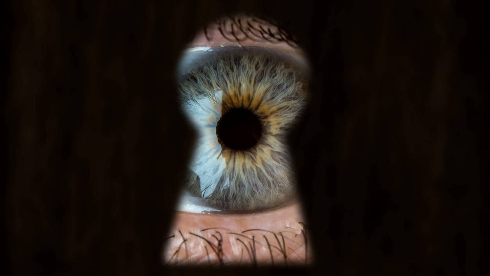 Longitud de onda -  Si nos miran no lo hacemos - 23/06/23 - escuchar ahora