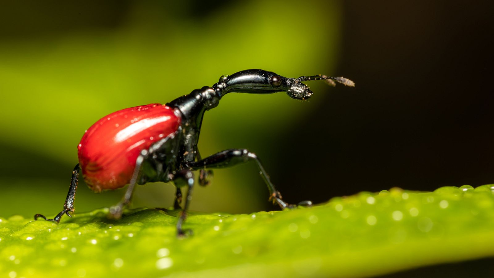 Poesía Exterior - Poemas para no olvidarte de que la vida merece la pena (II) - 22/06/23 - escuchar ahora