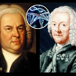 Los genes de Telemann que aparecen en Bach