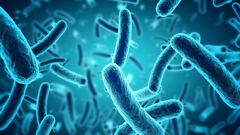 El laboratorio de JAL - La bacteria Legionella: esa gran desconocida - 29/06/23 - escuchar ahora