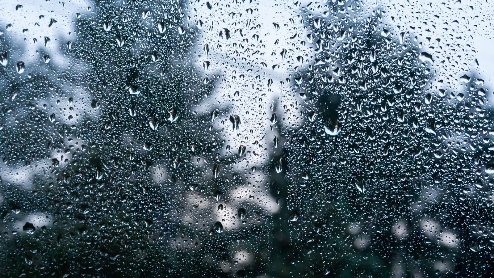 RAE informa - Prevision meteorologica - 29/06/23 - escuchar ahora