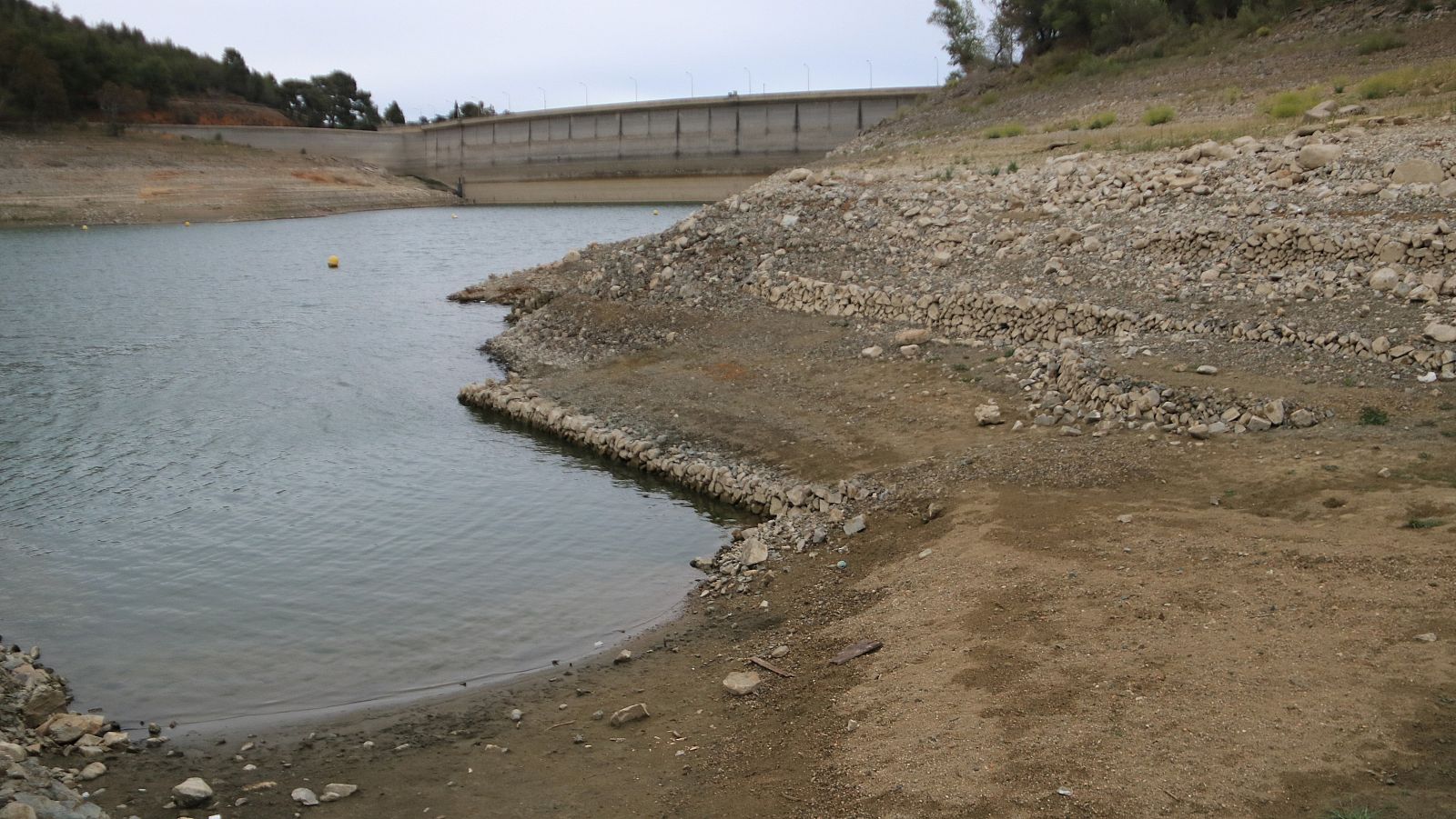 L'ACA estudia buidar el pantà de Riudecanyes per salvar els avellaners del Baix Camp i el Tarragonès