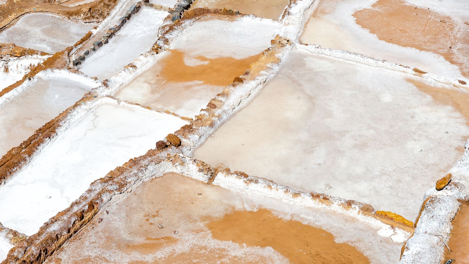 Caminantes - Rutas saludables por Cardona - 01/07/2023 - Escuchar ahora