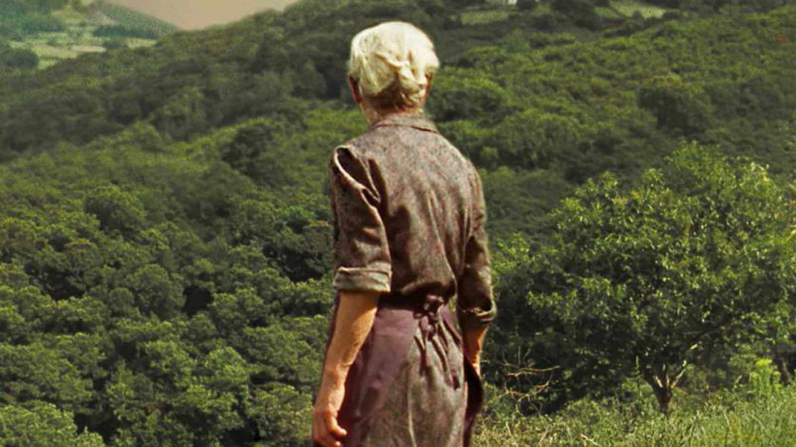 Vamos al cine - Cine español y música clásica (I) - 01/07/23 - escuchar ahora