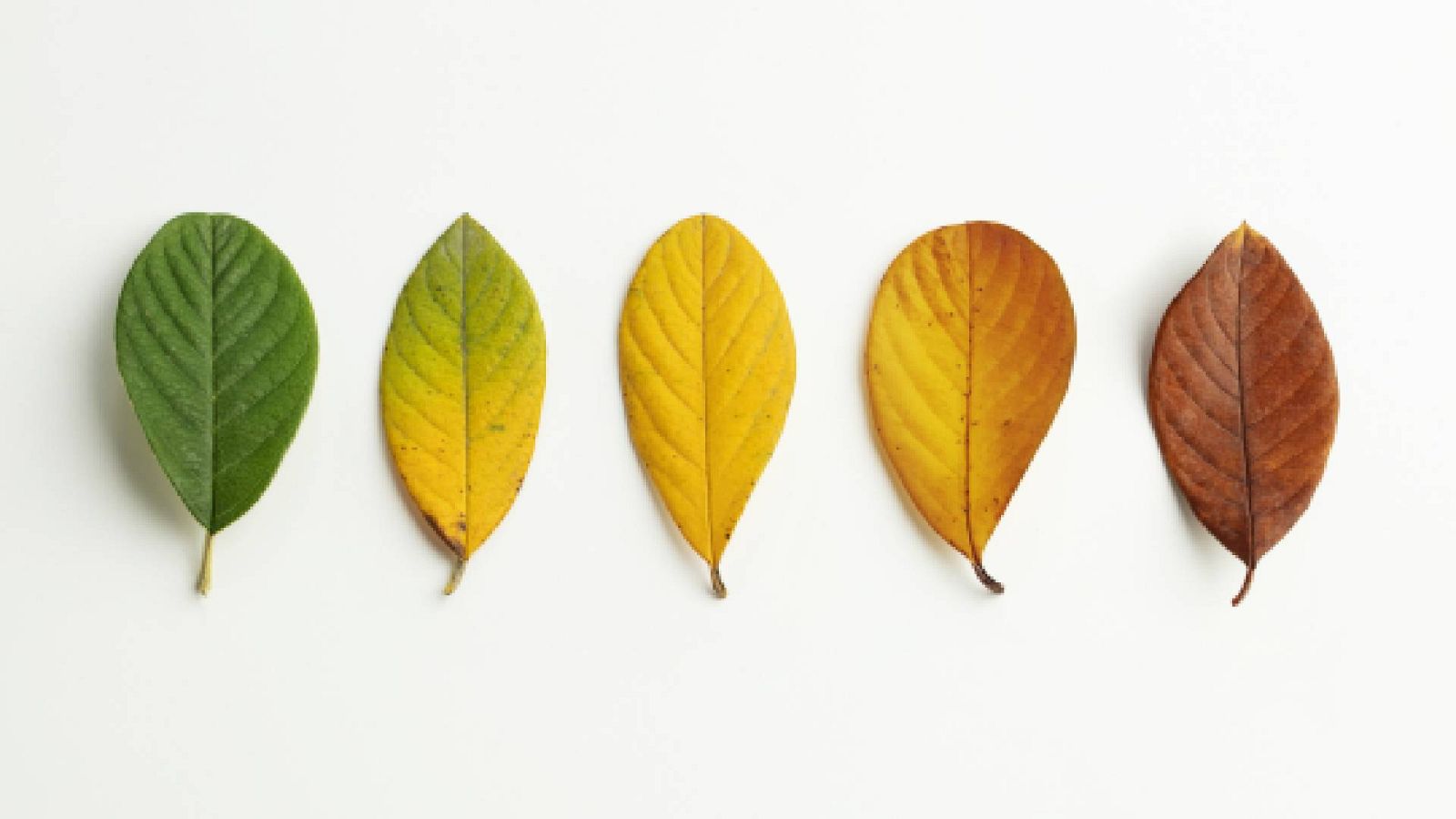 Café del sur - La paradoja del tiempo - 15/07/23 - escuchar ahora