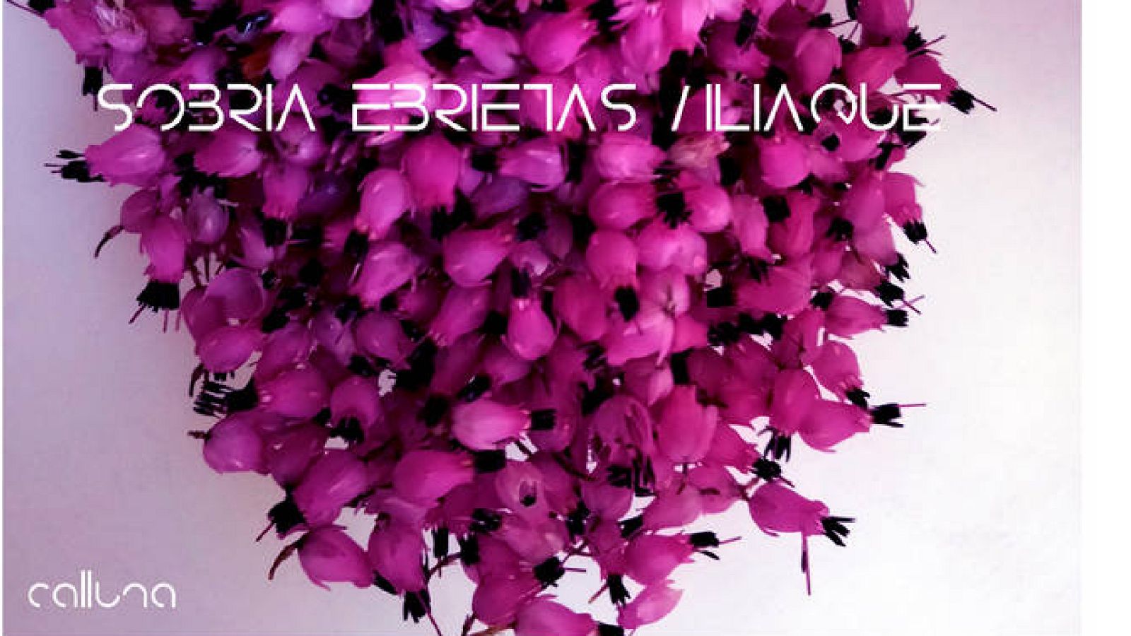 Resonancias - Calluna - 19/07/2023