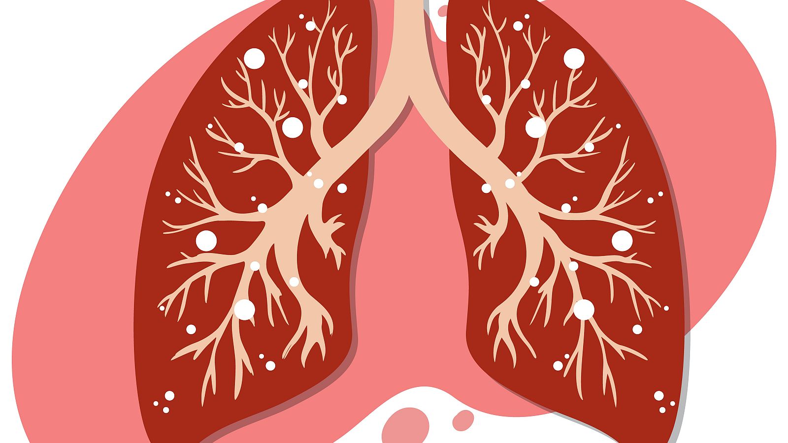 A su salud - Los mayores ante la enfermedad cardiovascular - 05/07/23 - Escuchar ahora