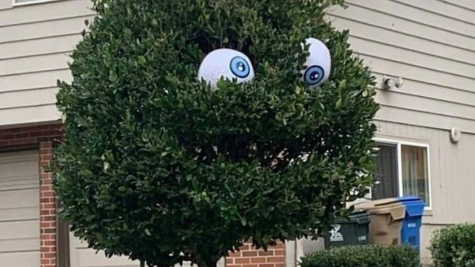 Alguien debería prohibir los domingos por la tarde - Lo que viene después del sábado - 09/07/23 - escuchar ahora