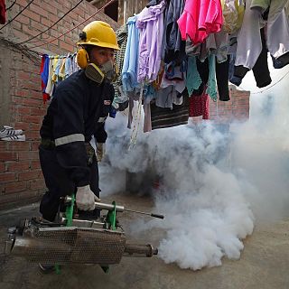Dengue en Perú: el cambio climático que mata