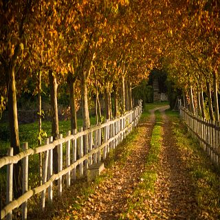 eXtrañas heterodoXias