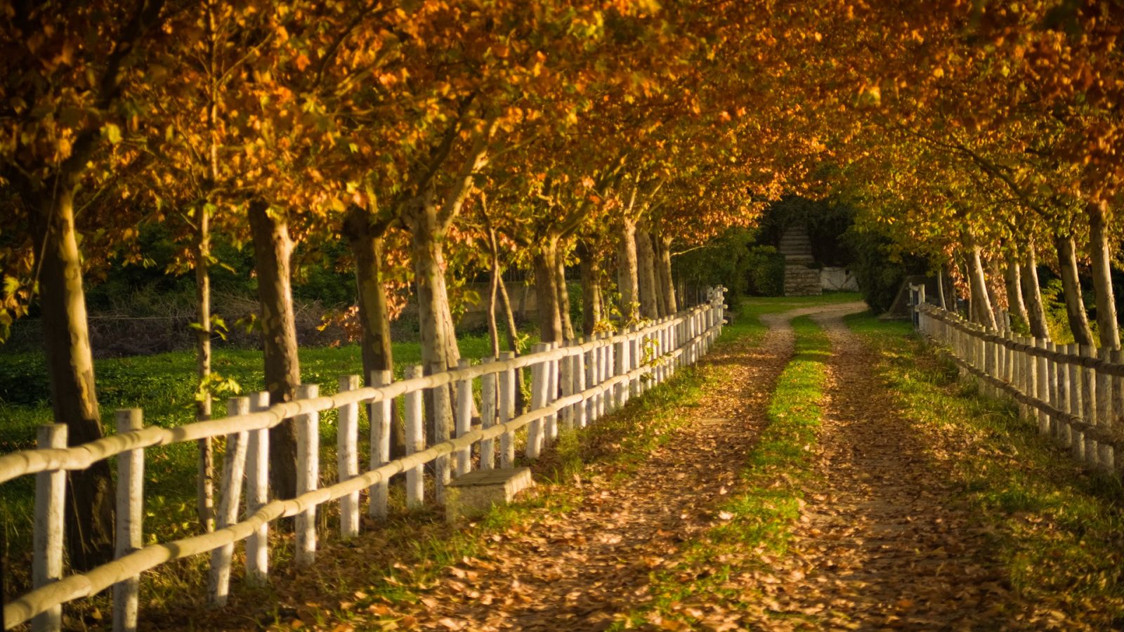 eXtrañas heterodoXias - El camino - 08/07/23 - escuchar ahora