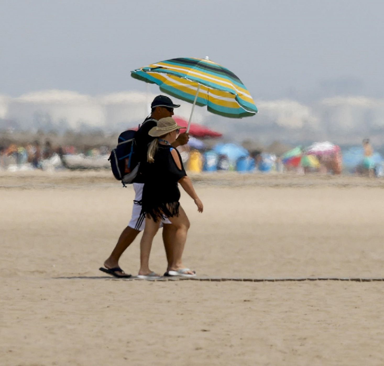 Cuando los elefantes sueñan con la música - Érase un verano - 10/07/23 - escuchar ahora