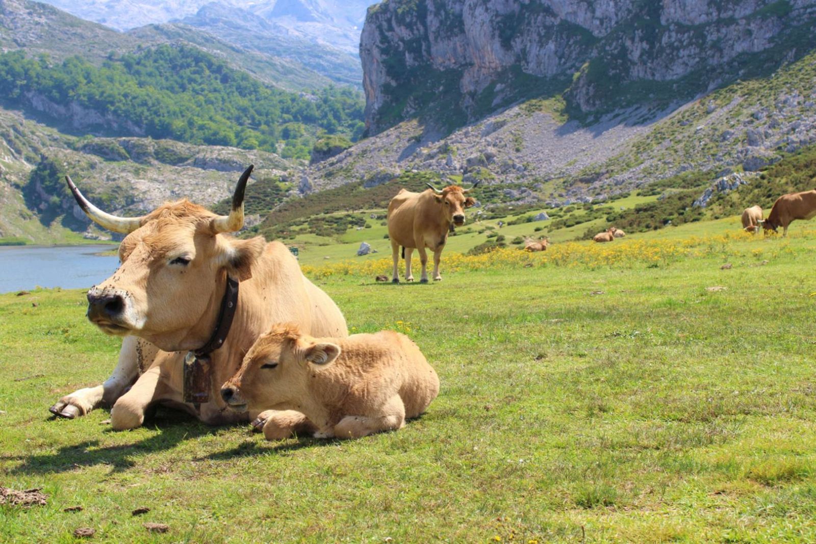 Caminantes - Por los caminos pasiegos - 15/07/23 - Escuchar ahora