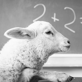 Todos somos sospechosos