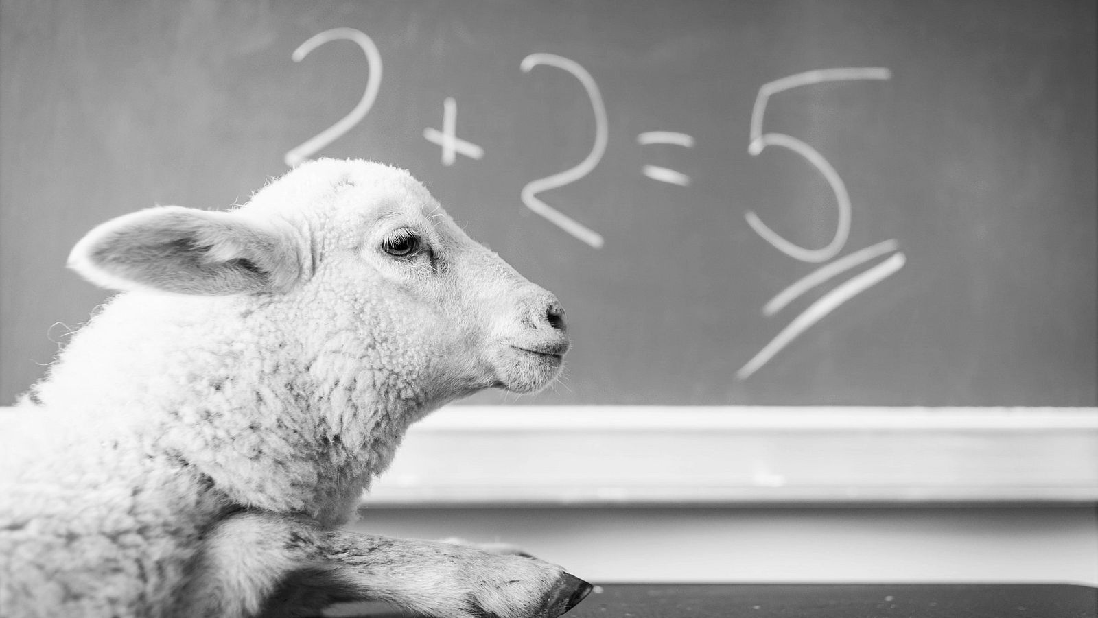 Todos somos sospechosos - Gamberrismo, comunicación y estupidez - 12/07/23 - escuchar ahora