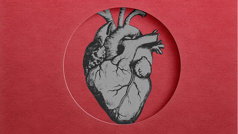 El gallo que no cesa - Médico de guardia: Por qué nos fascina el corazón - Escuchar ahora