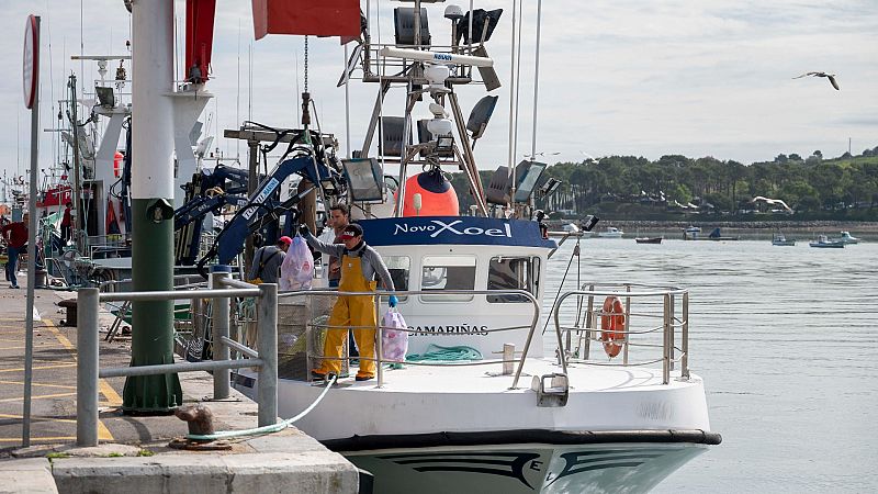 Las Mañanas de RNE con Íñigo Alfonso - Fin del acuerdo de pesca entre la UE y Marruecos: "Queremos estar más arropados por parte de la administración española" - Escuchar ahora
