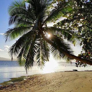 Fiyi, islas felices en los mares del sur