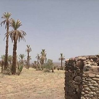 La sequía asola el norte de África