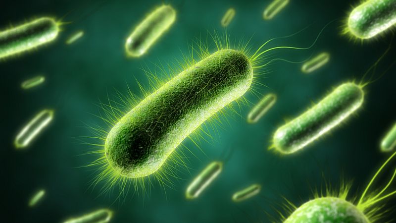 El laboratorio de JAL - 'Romper' las bacterias superresistentes - 20/07/23 - escuchar ahora